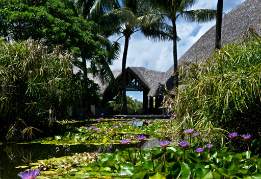 Polynesian wellness center