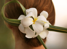 Beauty Special
